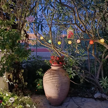 Alexandra Spingou Apartament Dassia (Corfu)