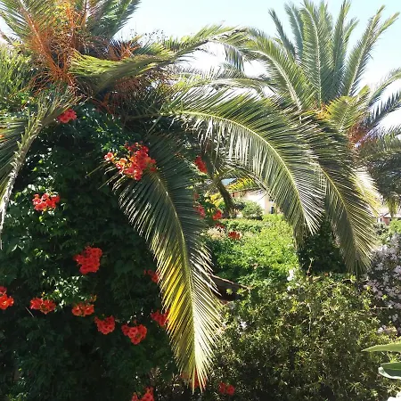 Alexandra Spingou 다시아