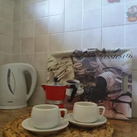 Alexandra Spingou * 다시아