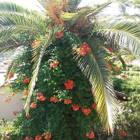 아파트 Alexandra Spingou