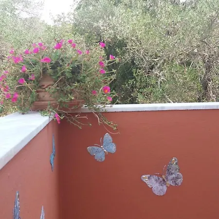 아파트 Alexandra Spingou