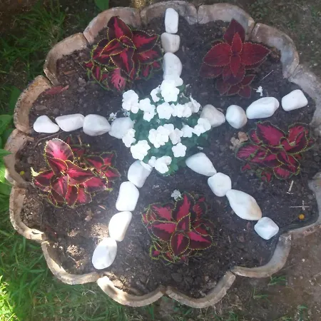 Alexandra Spingou 아파트 다시아