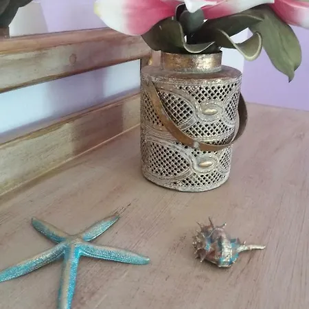 Alexandra Spingou 다시아