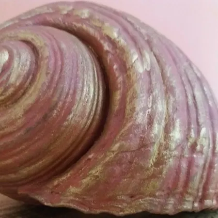 아파트 Alexandra Spingou 다시아