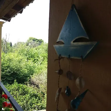 Alexandra Spingou 아파트 다시아