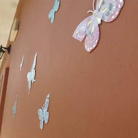 Alexandra Spingou Daire