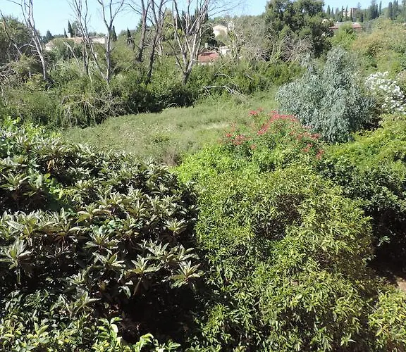 Apartamento Alexandra Spingou