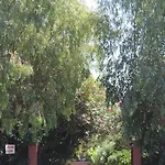 Alexandra Spingou Apartament *
